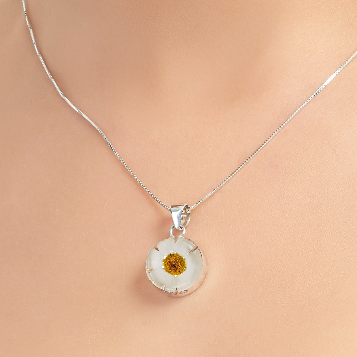 Silver necklace with a pendant featuring a real daisy