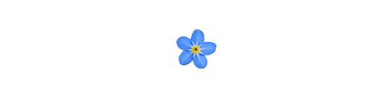 Blue forget-me-not flower