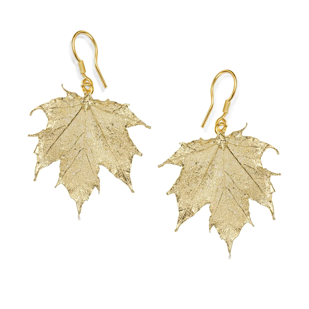 Gold-plated Sugar MapleLeaf Earrings
