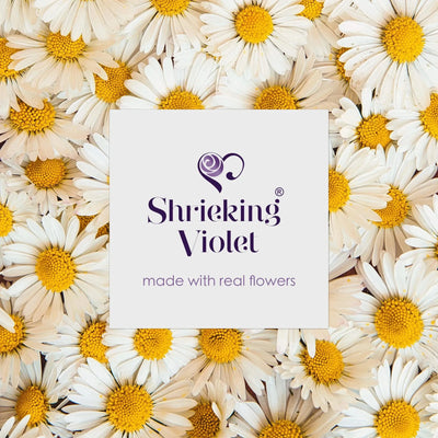 Pulsera Daisy Serpiente Redonda